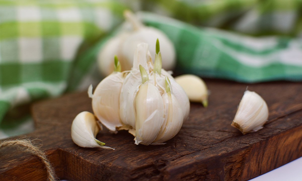 Почему нужно класть чеснок под подушку